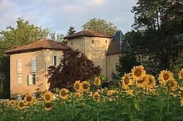 Chateau Floran in July