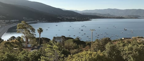 View of Sagone Bay from the terrace