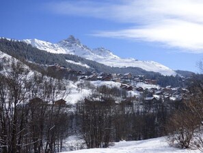 Sneeuw- en skisporten