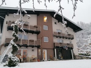 Bâtiment, Propriété, Fenêtre, Neige, Plante, Branche, Arbre, Maison, Brindille, Gelé