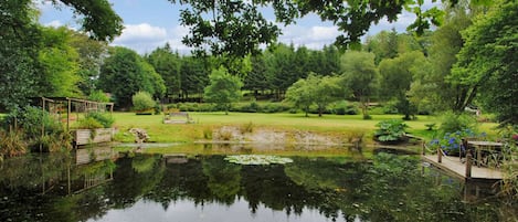 Lake and meadow behind