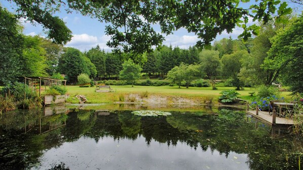 Lake and meadow behind