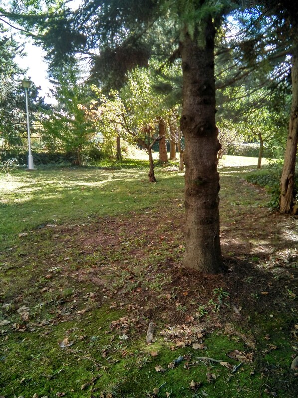 Boendeområde