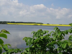 Oklassificerad bild, 5 av 48, knapp