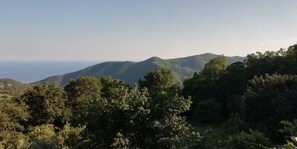 Blick auf dem Meer, von der Terrasse und von den Fenstern