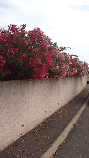 devant ce mur une place de pakingr