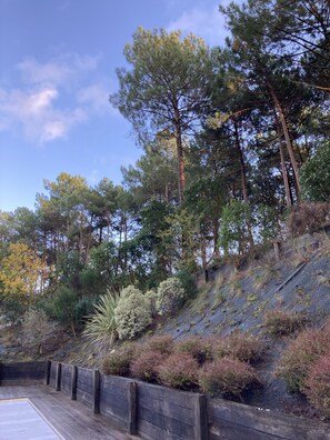 Boendeområde