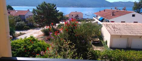 Vue de la terrasse