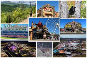 One destination, endless adventures—discover what makes the Smokies unforgettable.