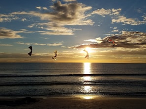 Kites at Treasure Island Beach