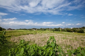 Terrain de l’hébergement 