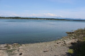 Our beach, with opportunity for beachcombing.