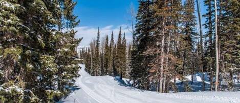 Snow and ski sports