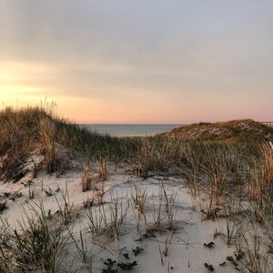 1/2 mile from the Sea Street Beach