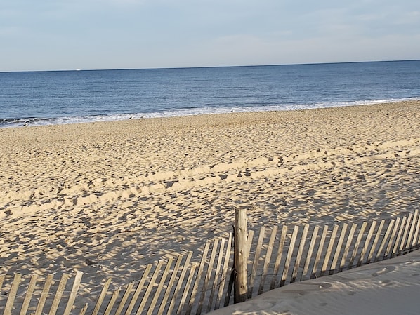 Rehoboth Beach