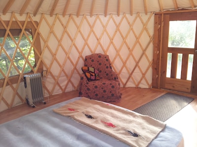 Cozy yurt in the woods near Homer