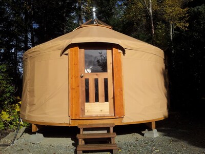 Cozy yurt in the woods near Homer