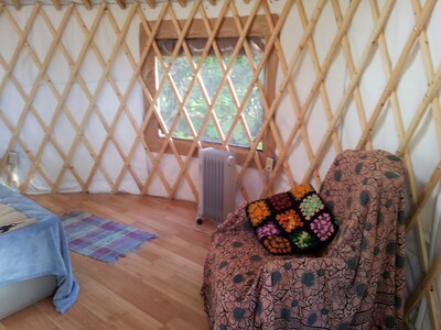 Cozy yurt in the woods near Homer