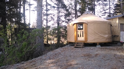 Cozy yurt in the woods near Homer