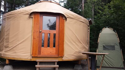 Cozy yurt in the woods near Homer