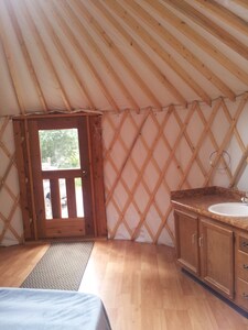 Cozy yurt in the woods near Homer