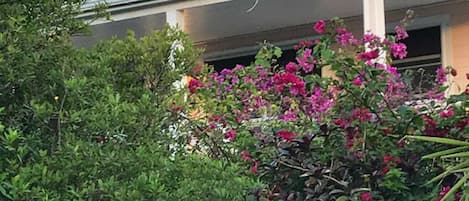 Madrigal Cottage