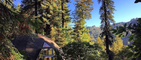 Welcome to the Redwood Dome in the heart of Russian River