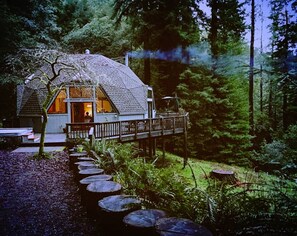 Winter at the Redwood Dome -- each season brings its own unique magic