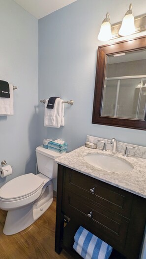 Master bathroom vanity & toilet