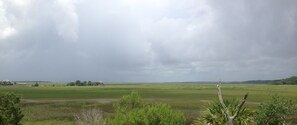 Panoramic marsh views....