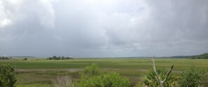 Panoramic marsh views....