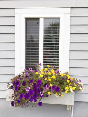 Beautiful flowers all summer long!