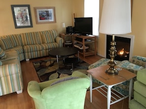 Living area with gas fireplace