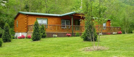 Creekside Cabin