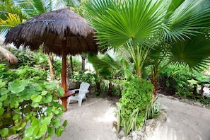 Tropical garden with Palapa