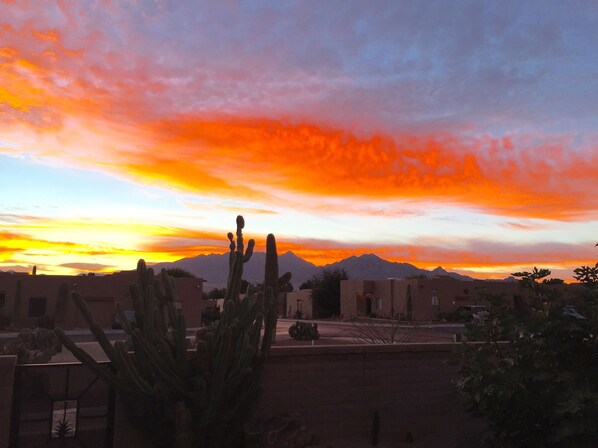 Sunrise over the Santa Ritas as seen from the backyard