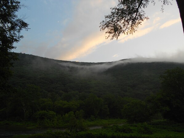 View from master bedroom upon waking up