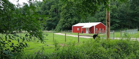 Overnattingsstedets uteområder