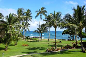 Lae Nani 423, Stunning Oceanfront View, Newly Remodeled In Tasteful Island Decor