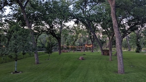 View of backyard at sundown