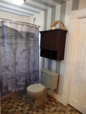 Main Level Bathroom: Full Shower and Custom Paint