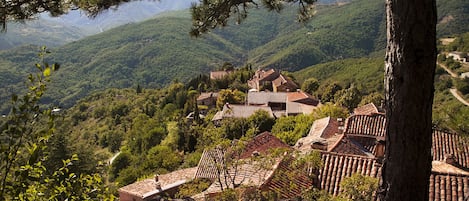 View on the Medieval and authentic Hamlet of Esparon, where the houe is located.