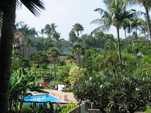 View from the lanai