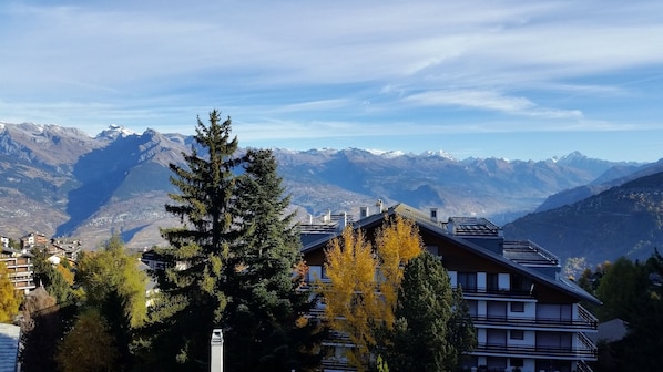 Blick Richtung Tal/Norden
