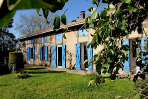 Exteriör