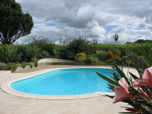 La piscine chauffée dans son écrin de verdure