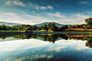 Mountain cabin rental, Blue Ridge Mountain views on-site fishing lake, 