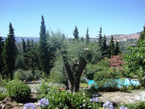 View of the garden and the pool