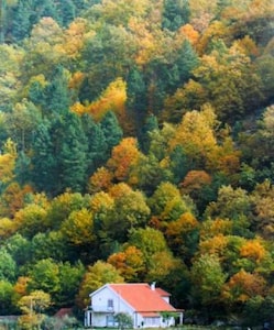 Haus mit Garten und Pool in Butters im Herzen der Serra da Estrela