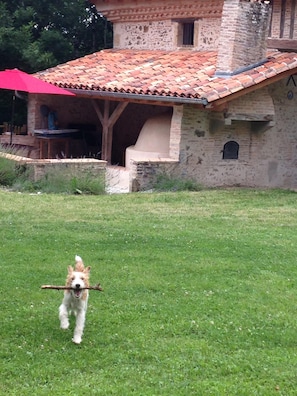 La terrasse (et le vrai maître des lieux!)